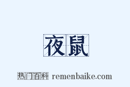 夜鼠是什么意思的图片